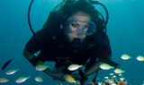 Gozo diving.jpg