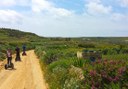 Gozo fauna via segway tour