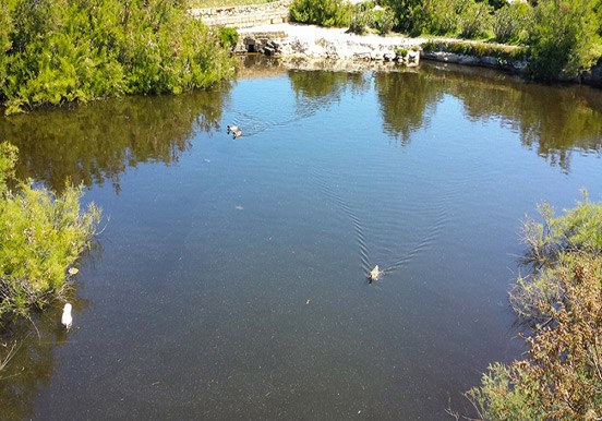 segway tour - Gozo lake and wildlife