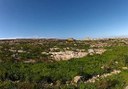 Discover breathtaking landscapes on segway.jpg