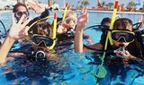 Learn to dive in Gozo.jpg