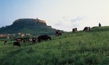 Citadella of Rabat, Gozo bus tour.jpg