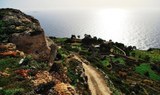 Malta scenic tour.jpg