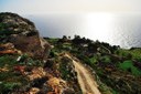 Malta scenic tour.jpg