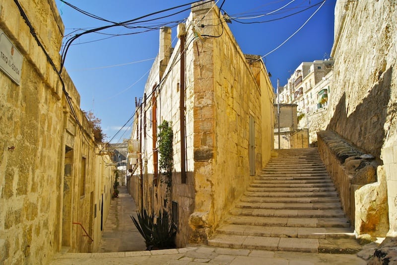 DSC06249-min.jpg