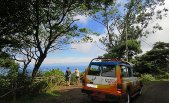 The Country Delights Jeep Safari Tour