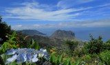 Madeira hills and sights