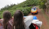 Madeira road trip