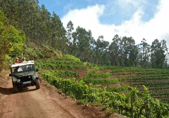 jeep safari tour in West Madeira