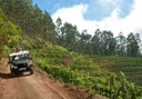 jeep safari tour in West Madeira