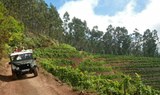 jeep safari tour in West Madeira