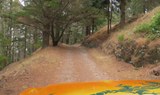 Madeira excursion