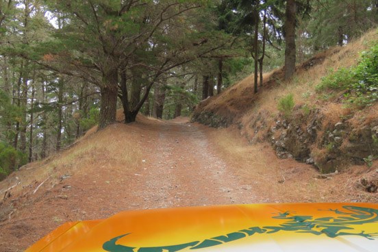 Madeira excursion