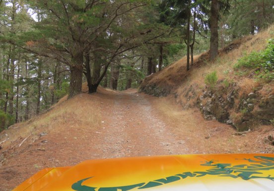 Madeira excursion