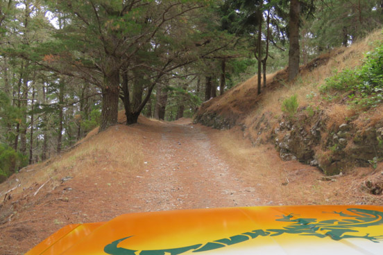 Madeira excursion