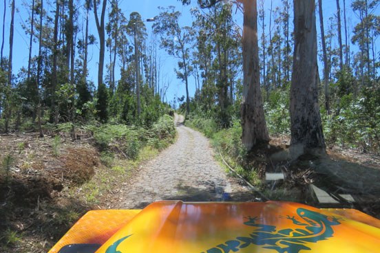 Journey to rising sun - Madeira