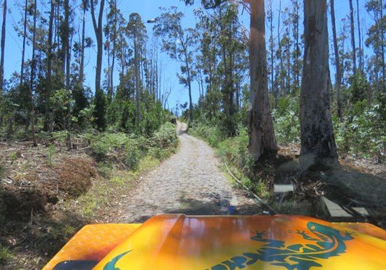 Journey to rising sun - Madeira