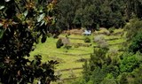 Rising Sun rural villages in Madeira