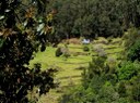 Rising Sun rural villages in Madeira