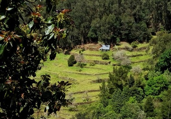 Rising Sun rural villages in Madeira
