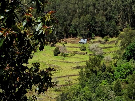 Rising Sun rural villages in Madeira