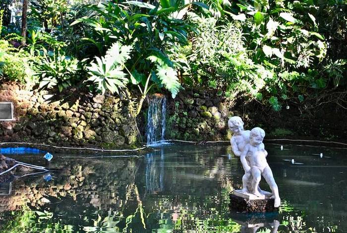 Jardim Municipal -Garden- Funchal- Madeira (Copy).jpg