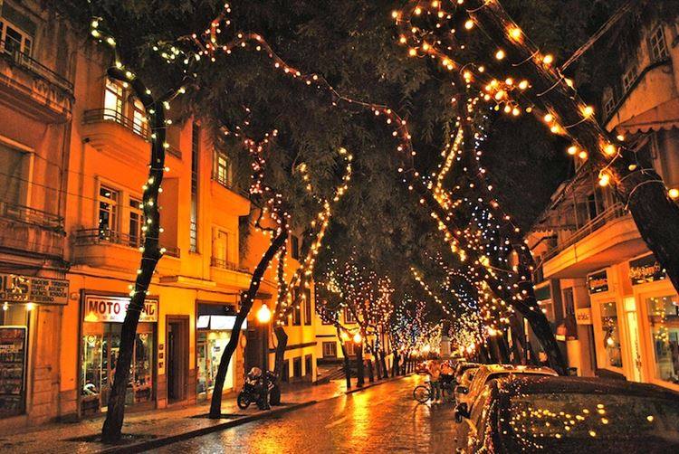 Street Christmas decoration- Funchal- Madeira (Copy).jpg