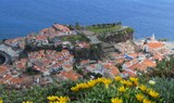 Camara de Lobos village