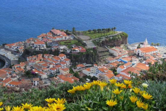 Camara de Lobos village