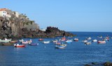 colorful boats in Camara de Lobos