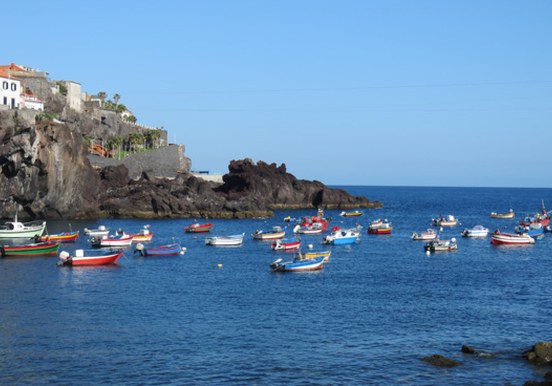 colorful boats in Camara de Lobos