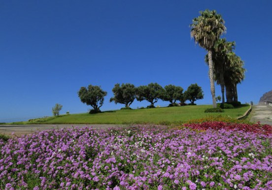 colorful Madeira