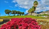 Vineyards and Colours - Madeira tour