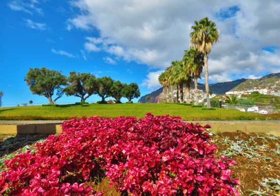 Vineyards and Colours - Madeira tour