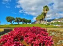 Vineyards and Colours - Madeira tour