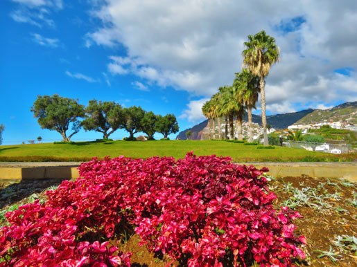 Vineyards and Colours - Madeira tour