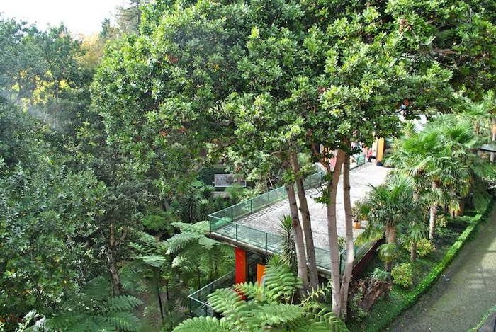 Jardim Tropical Garden Monte Palace- Monte- Funchal (Copy).jpg