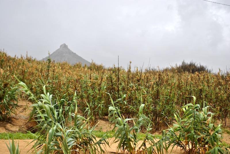 Around Ponta da Calheta- Porto Santo (Copy).jpg