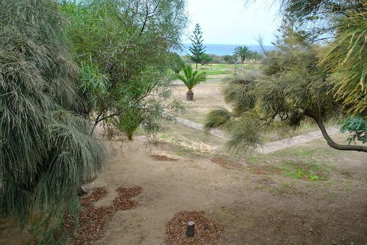 Parque de Campismo -camping park- Porto Santo (Copy).jpg
