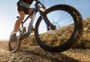 Electric fat bike tour in Ibiza
