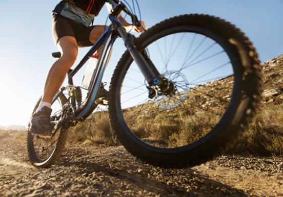 Electric fat bike tour in Ibiza