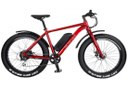 electric fat bike