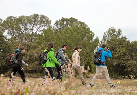 hiking through Es Broll Ibiza flora