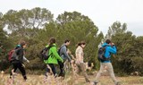 hiking through Es Broll Ibiza flora