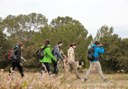 hiking through Es Broll Ibiza flora