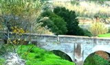 water channels in Es Broll Ibiza