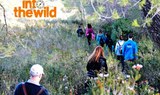 Hiking in Ibiza.jpg