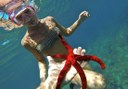 snorkeling in Ibiza