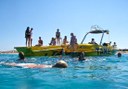 speedboat adventure in Ibiza