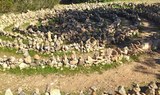 stone formation in hike trail in Ibiza